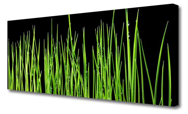 Obraz na plátne Burina 125x50 cm
