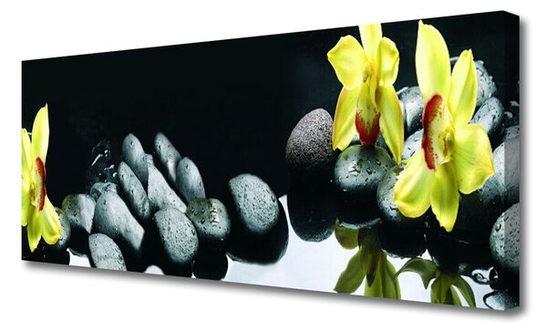 Obraz na plátne Kvet kamene 125x50 cm