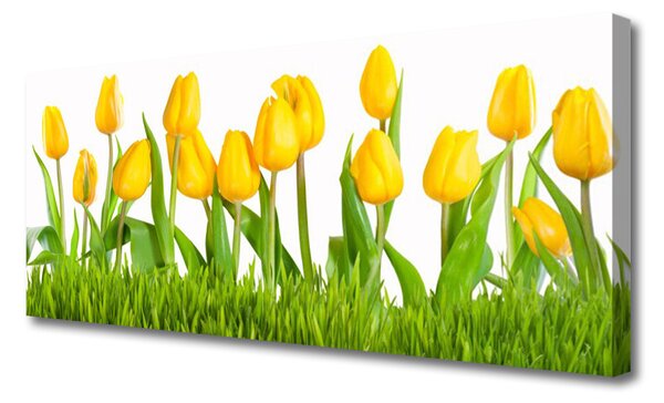 Obraz na plátne Tulipány 125x50 cm