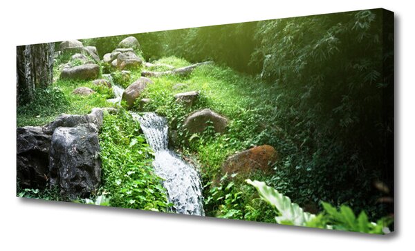 Obraz na plátne Potom trávy príroda 125x50 cm