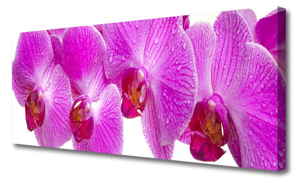 Obraz na plátne Kvety rastlina príroda 125x50 cm