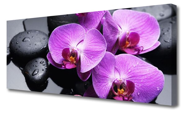 Obraz na plátne Kvet kamene 125x50 cm