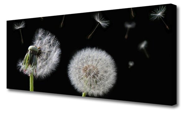 Obraz na plátne Púpava 125x50 cm