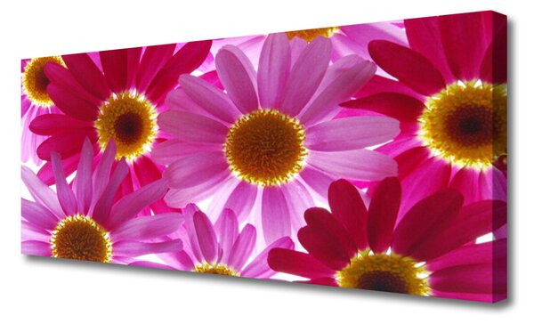 Obraz na plátne Kvety 125x50 cm