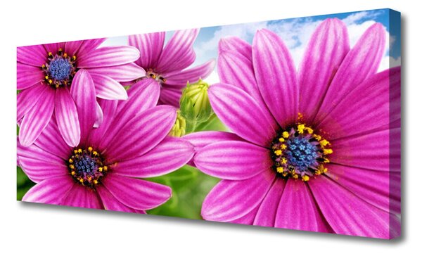 Obraz na plátne Kvety 125x50 cm