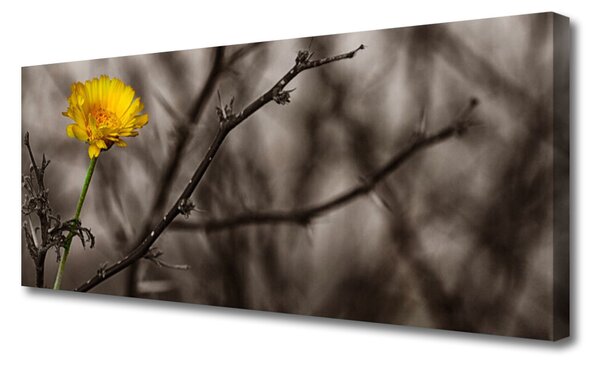 Obraz na plátne Vetva kvet 125x50 cm