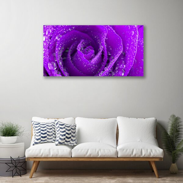 Obraz na plátne Ruže kvet 125x50 cm