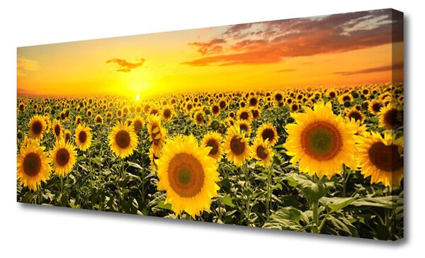 Obraz na plátne Slnečnica 125x50 cm