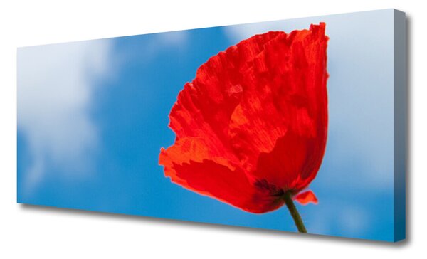 Obraz na plátne Tulipán 125x50 cm