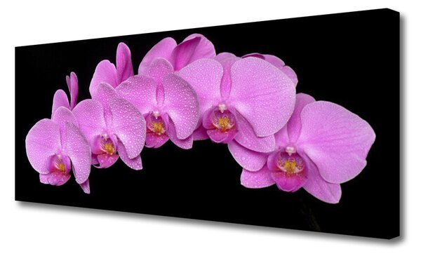 Obraz na plátne Kvety 125x50 cm