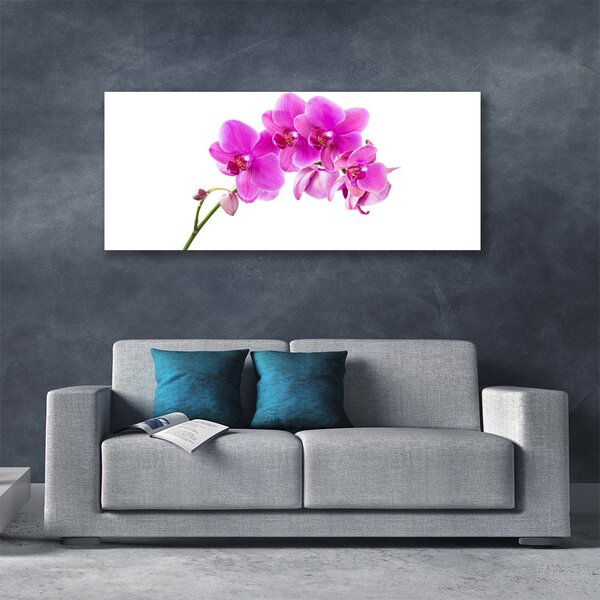 Obraz Canvas Vstavač kvet orchidea 125x50 cm