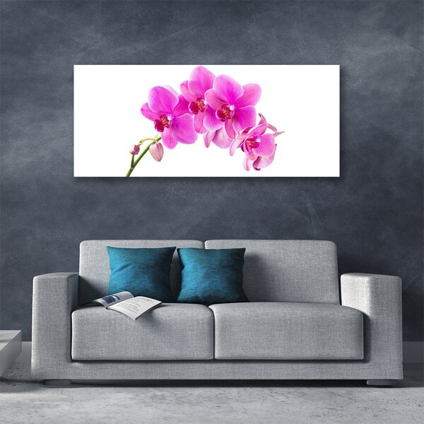 Obraz Canvas Vstavač kvet orchidea 125x50 cm