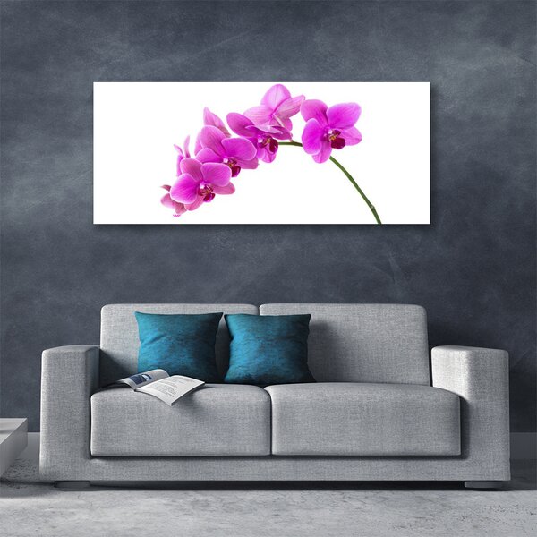 Obraz Canvas Vstavač kvet orchidea 125x50 cm