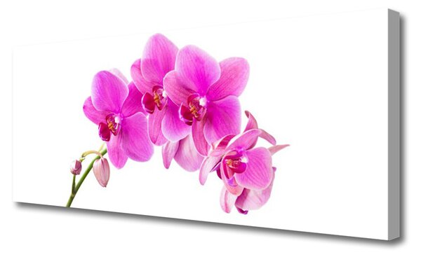 Obraz Canvas Vstavač kvet orchidea 125x50 cm