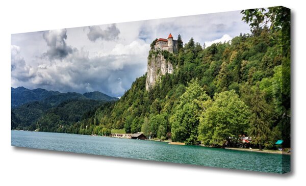Obraz Canvas Zámok v horách les príroda 125x50 cm