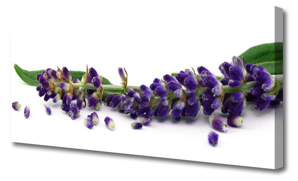 Obraz Canvas Levanduľa mŕtva príroda 125x50 cm