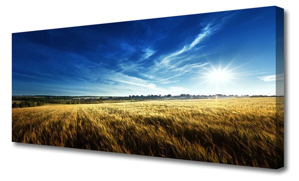 Obraz Canvas Pole obilie slnko krajina 125x50 cm