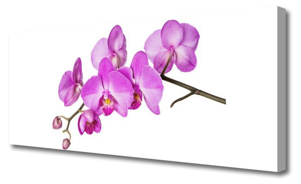 Obraz Canvas Vstavač orchidea kvety 125x50 cm