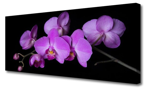 Obraz Canvas Vstavač orchidea kvety 125x50 cm