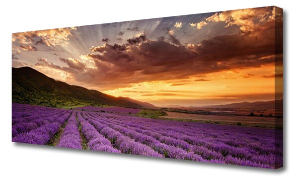 Obraz Canvas Pole levanduľa západ slnka 125x50 cm