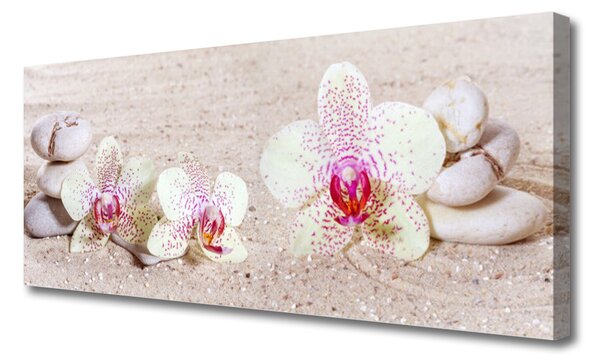 Obraz Canvas Orchidea kamene zen písek 125x50 cm