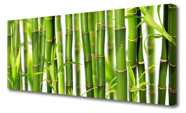 Obraz Canvas Bambusové výhonky listy bambus 125x50 cm