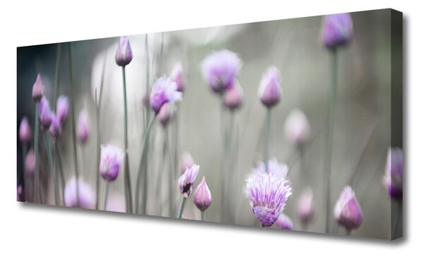 Obraz Canvas Poľné kvety lúka príroda 125x50 cm