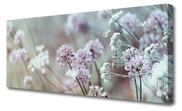 Obraz Canvas Poľné kvety lúka príroda 125x50 cm