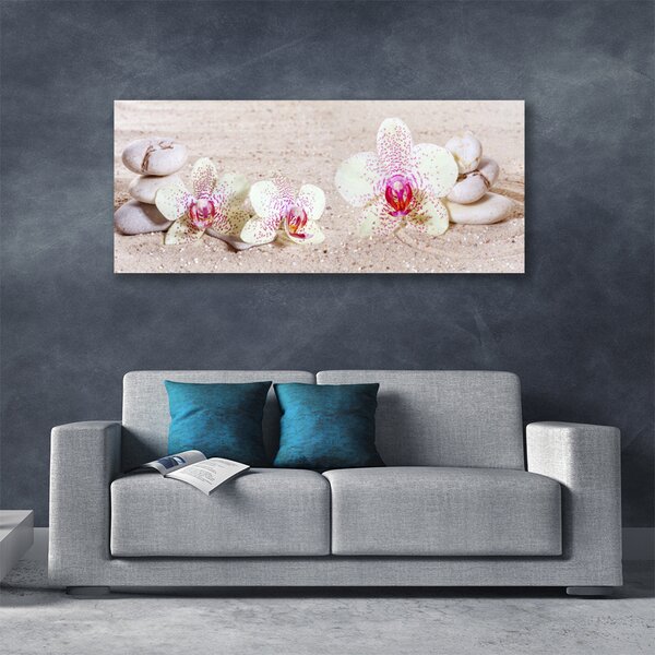 Obraz Canvas Orchidea kamene zen písek 125x50 cm