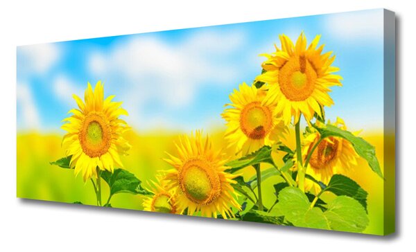 Obraz Canvas Slnečnica kvety príroda 125x50 cm