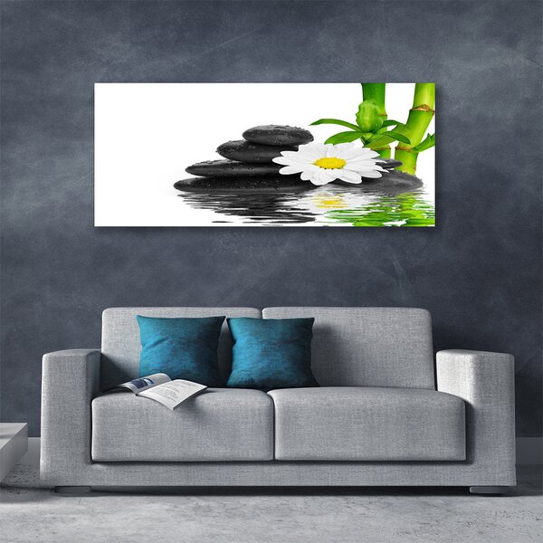 Obraz Canvas Kamene zen bambus výhonky 125x50 cm