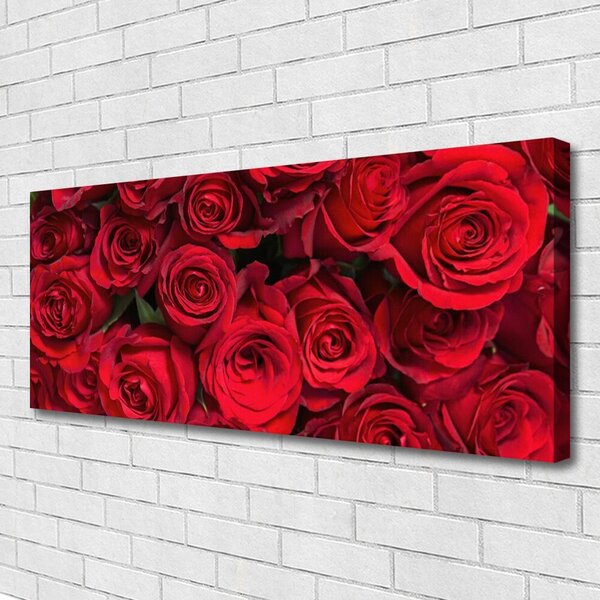 Obraz Canvas Červené ruže kvety príroda 125x50 cm
