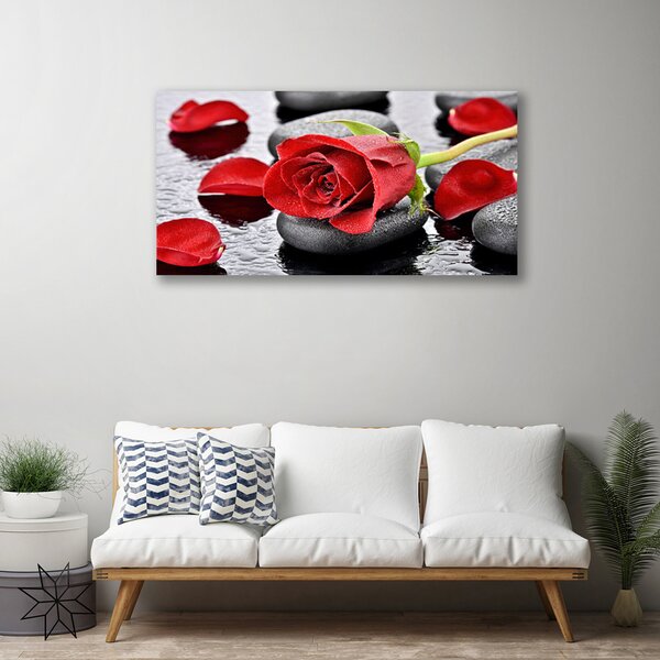 Obraz Canvas Ruže kvet kamene zen 125x50 cm