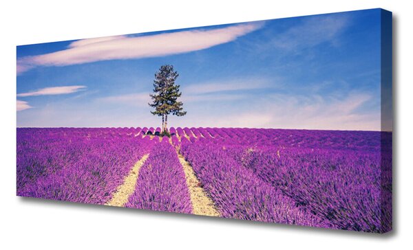 Obraz Canvas Pole levanduľa lúka strom 125x50 cm