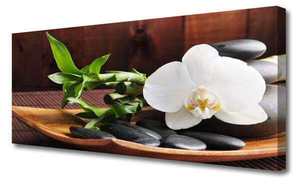 Obraz Canvas Kamene zen biela orchidea 125x50 cm