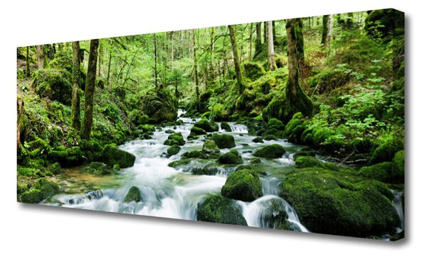 Obraz Canvas Les potok vodopády rieka 125x50 cm