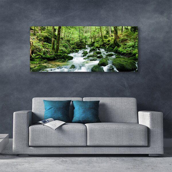 Obraz Canvas Les potok vodopády rieka 125x50 cm