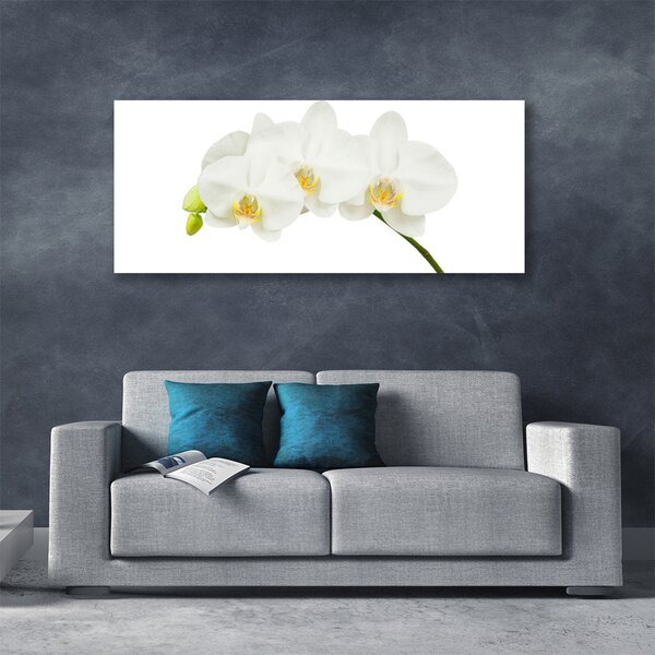 Obraz Canvas Orchidea výhonky kvety príroda 125x50 cm