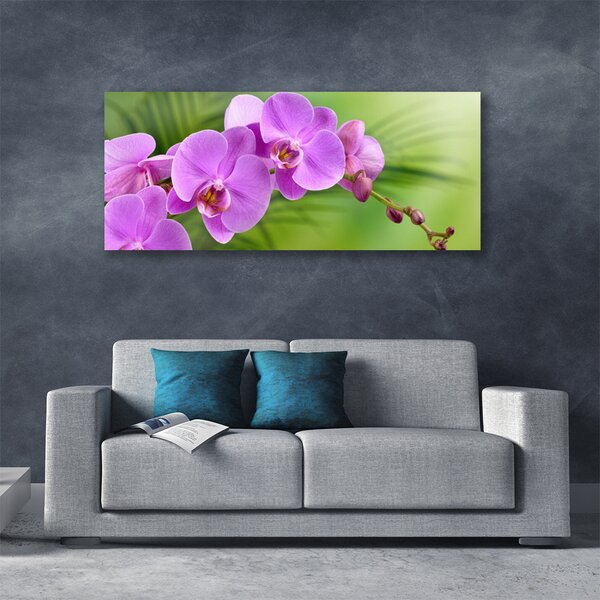 Obraz Canvas Vstavač orchidea kvety 125x50 cm