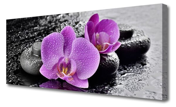 Obraz Canvas Orchidea kvety kamene zen 125x50 cm
