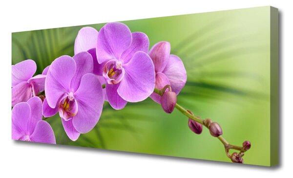 Obraz Canvas Vstavač orchidea kvety 125x50 cm