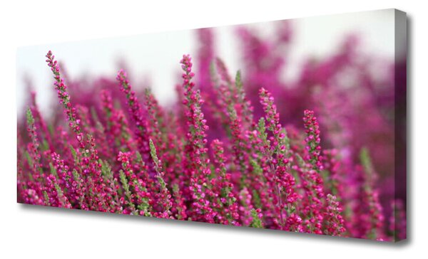Obraz Canvas Kvety lúka príroda 125x50 cm