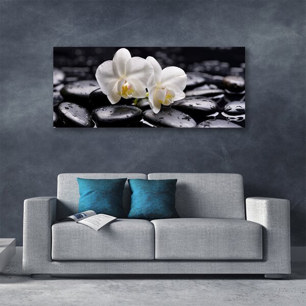 Obraz Canvas Kamene zen biela orchidea 125x50 cm