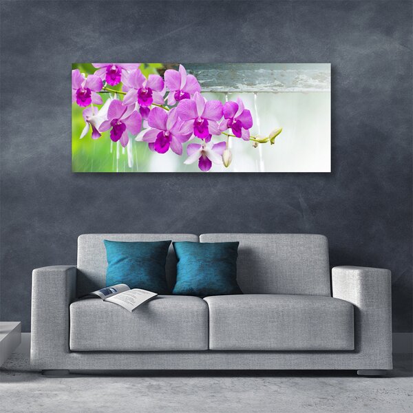 Obraz Canvas Orchidey kvapky príroda 125x50 cm