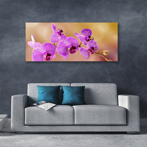 Obraz Canvas Orchidea výhonky kvety príroda 125x50 cm