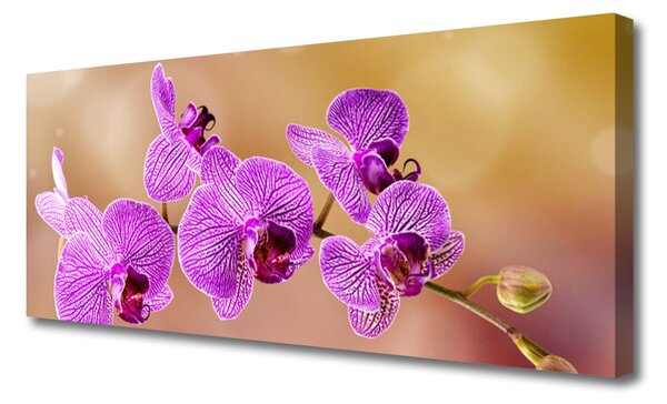 Obraz Canvas Orchidea výhonky kvety príroda 125x50 cm