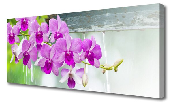 Obraz Canvas Orchidey kvapky príroda 125x50 cm