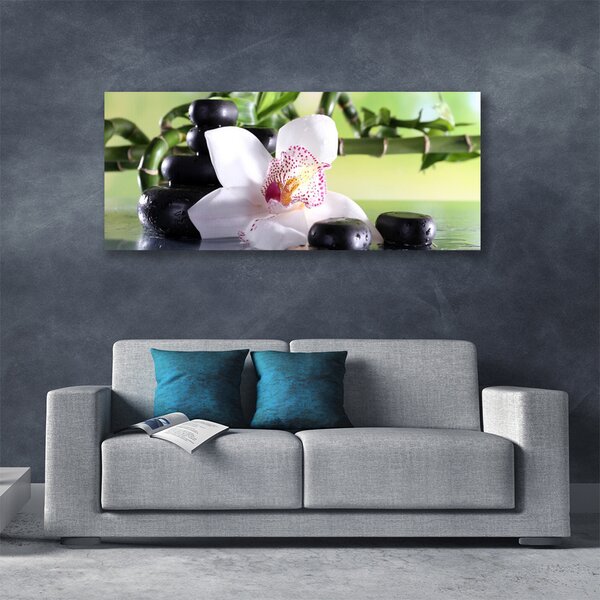 Obraz Canvas Orchidea kamene bambus 125x50 cm