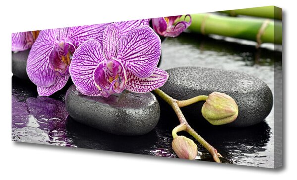 Obraz Canvas Kamene zen orchidea kúpele 125x50 cm