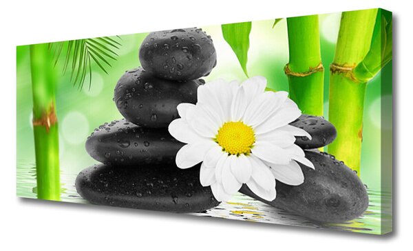 Obraz Canvas Bambus kamene zen kvet 125x50 cm